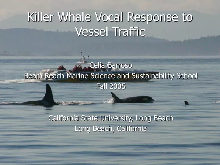 killer whale vocal response to vessel traffic