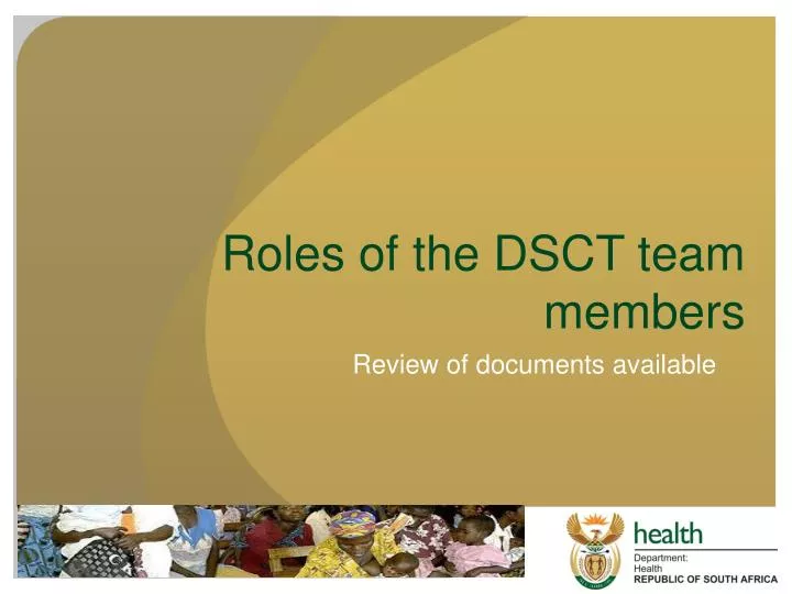 roles of the dsct team members