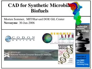 CAD for Synthetic Microbial Biofuels