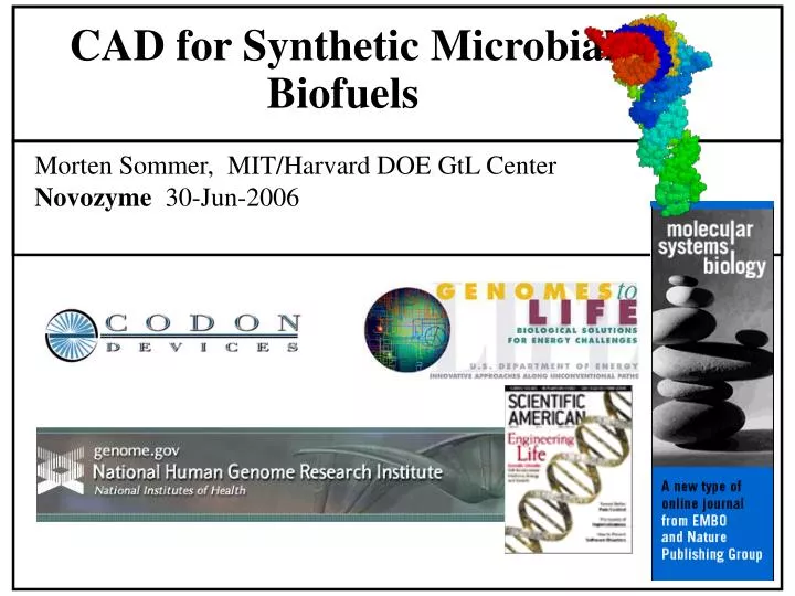 cad for synthetic microbial biofuels