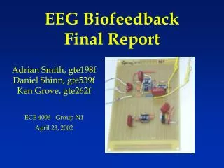 EEG Biofeedback Final Report