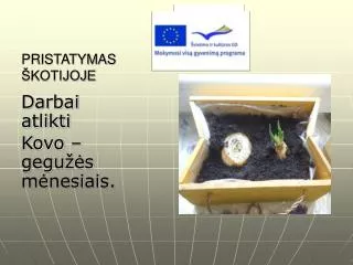 pristatymas kotijoje