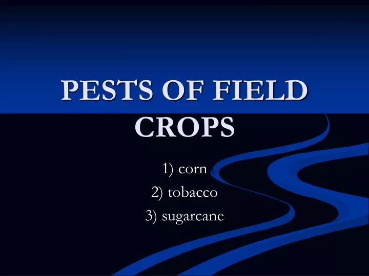 pests of field crops