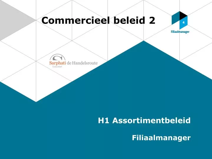 commercieel beleid 2