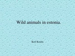 Wild animals in estonia.
