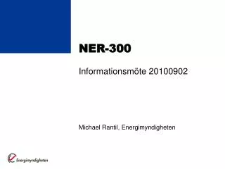 ner 300