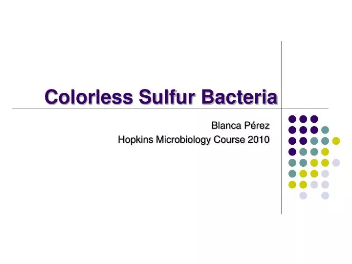 colorless sulfur bacteria