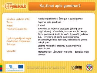 k inai apie gandrus