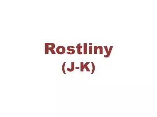 rostliny
