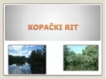 KOPAČKI RIT - slide 1