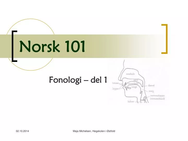 norsk 101