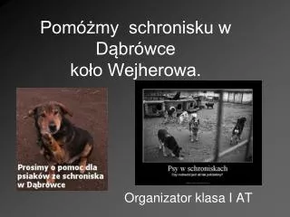 pom my schronisku w d br wce ko o wejherowa