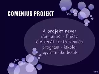 comenius projekt