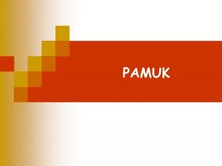 pamuk