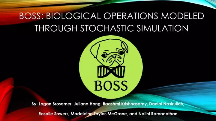 boss biological operations modeled through stochastic simulation