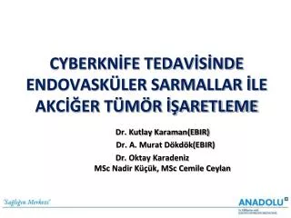 cyberkn fe tedav s nde endovask ler sarmallar le akc er t m r aretleme