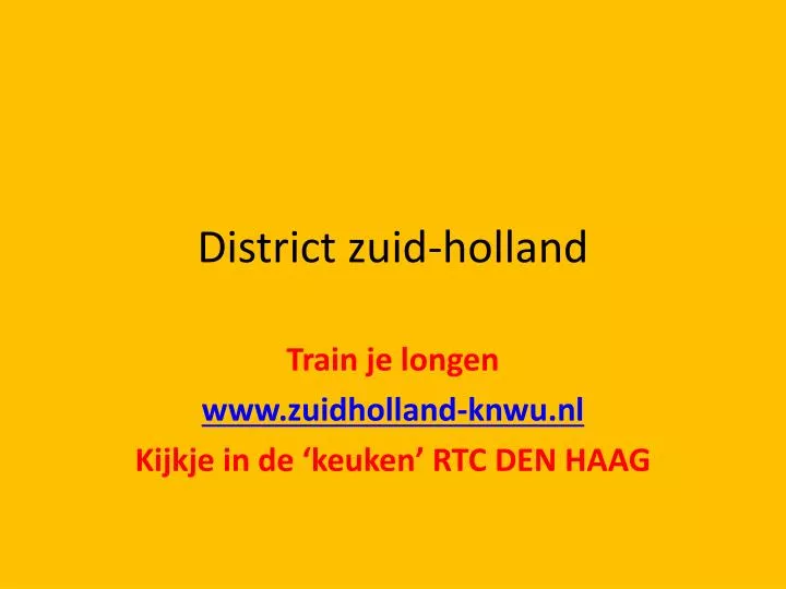 district zuid holland
