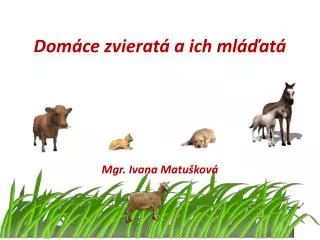 dom ce zvierat a ich ml at