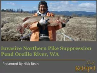 Invasive Northern Pike Suppression Pend Oreille River, WA