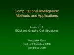 Computational Intelligence: Methods and Applications - slide 1