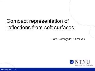 Compact representation of reflections from soft surfaces