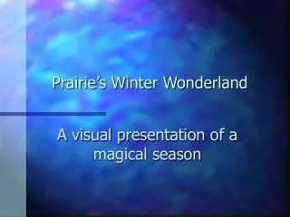 Prairie’s Winter Wonderland