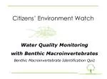 Citizens’ Environment Watch - slide 1