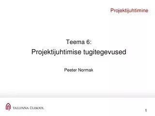 projektijuhtimine
