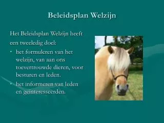 beleidsplan welzijn
