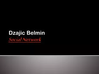 dzajic belmin