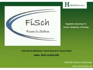 helios klinikum schleswig