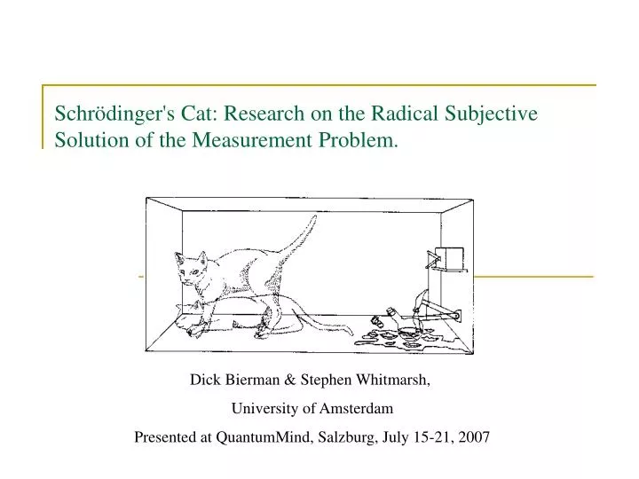 schr dinger s cat research on the radical subjective solution of the measurement problem