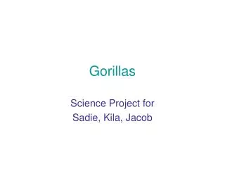 gorillas