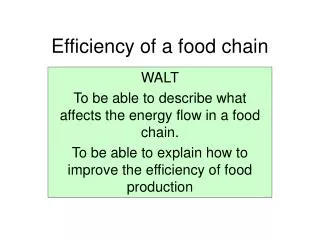 Efficiency of a food chain