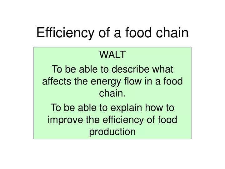 efficiency of a food chain