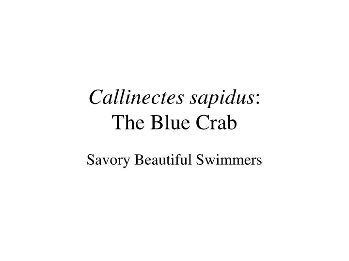 callinectes sapidus the blue crab