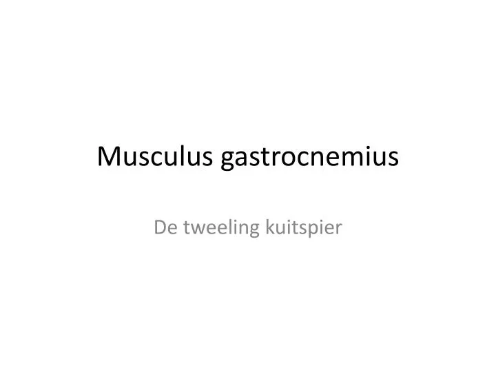 musculus gastrocnemius