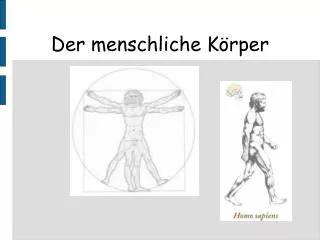 der menschliche k rper