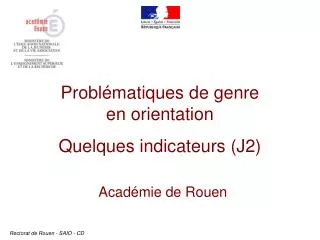 probl matiques de genre en orientation quelques indicateurs j2