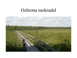 ochrona mokrade