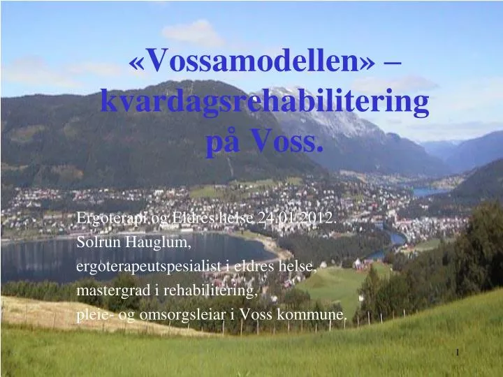 vossamodellen kvardagsrehabilitering p voss