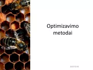 o ptimizavimo metodai