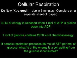 Cellular Respiration