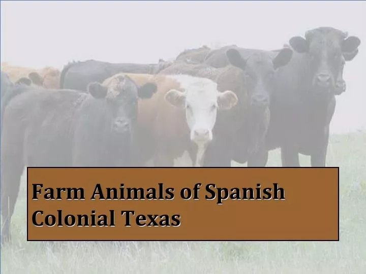farm animals of spanish colonial texas
