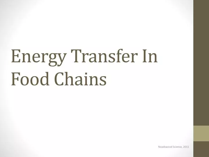 energy transfer in food chains