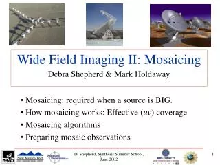 Wide Field Imaging II: Mosaicing Debra Shepherd &amp; Mark Holdaway