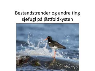 bestandstrender og andre ting sj fugl p stfoldkysten