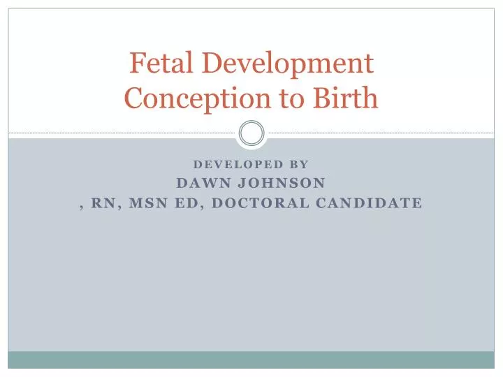 fetal development conception to birth