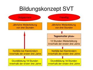 bildungskonzept svt