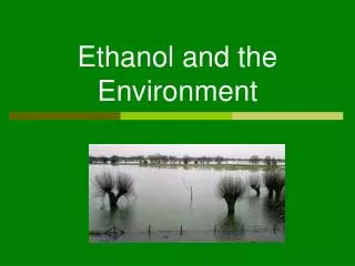 Ethanol and the Environment